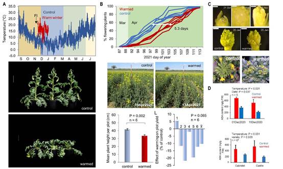 图形用户界面低可信度描述已自动生成