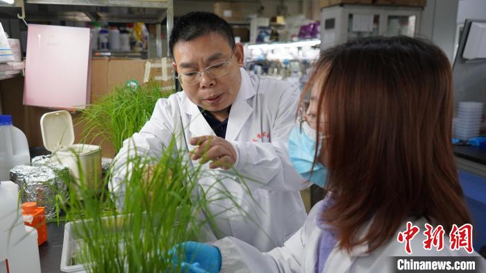 陈学伟在实验室与学生讲授专业要点。　何浠 摄